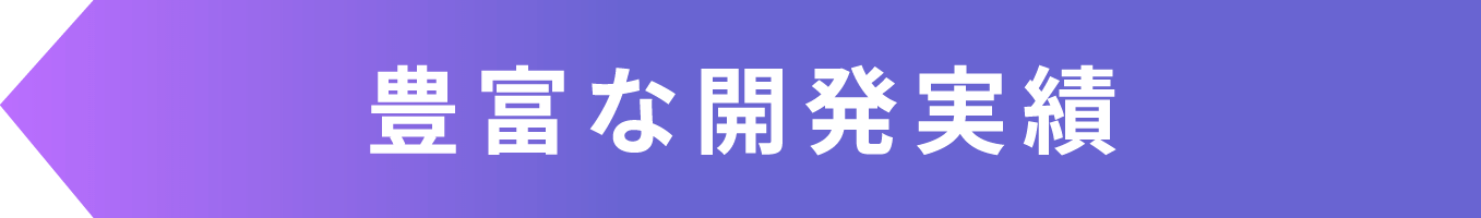 豊富な開発実績